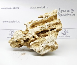 Песчаник пещерный (туф, ракушечник), цена за1 кг