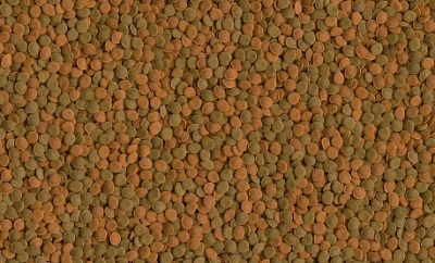 Tetra Wafer Mix Питательный корм для донных рыб и ракообразнных, таблетки 3,6 л/1850гр