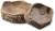 JBL ReptilBar SAND L - Кормушка, поилка и купалка для обитателей террариума, песочная