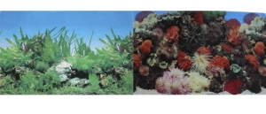 Фон для аквариума двухсторонний Кораллы/Растительный 30х60см (9001/9003)